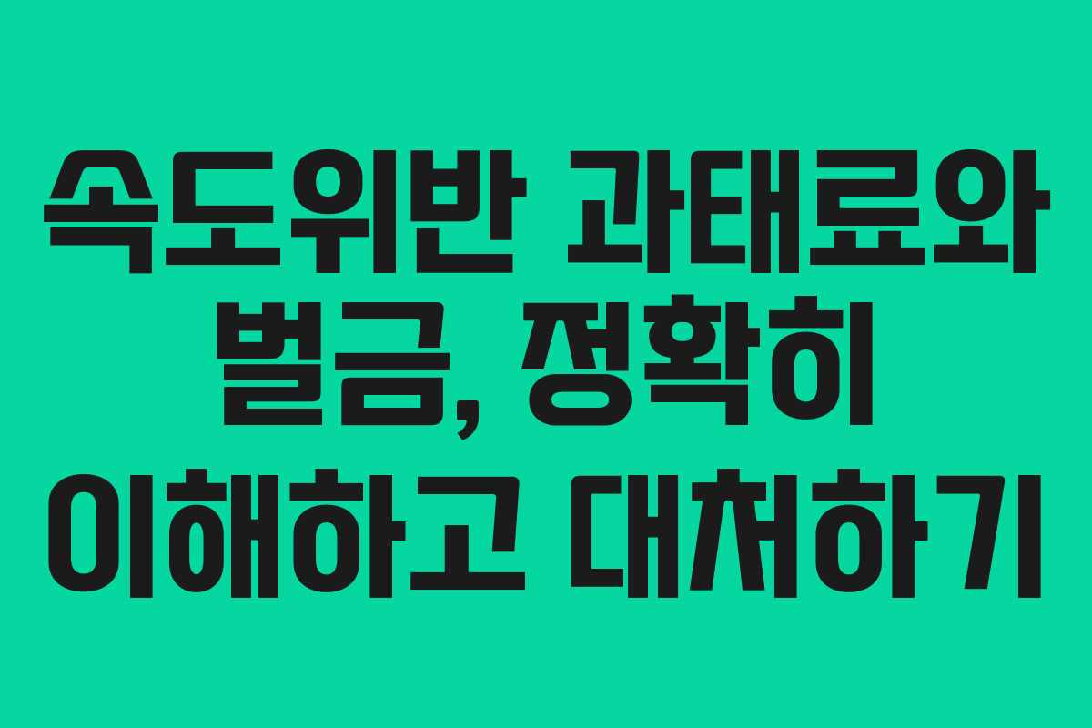 속도위반 과태료와 벌금, 정확히 이해하고 대처하기 속도위반 과태료와 벌금, 정확히 이해하고 대처하기
