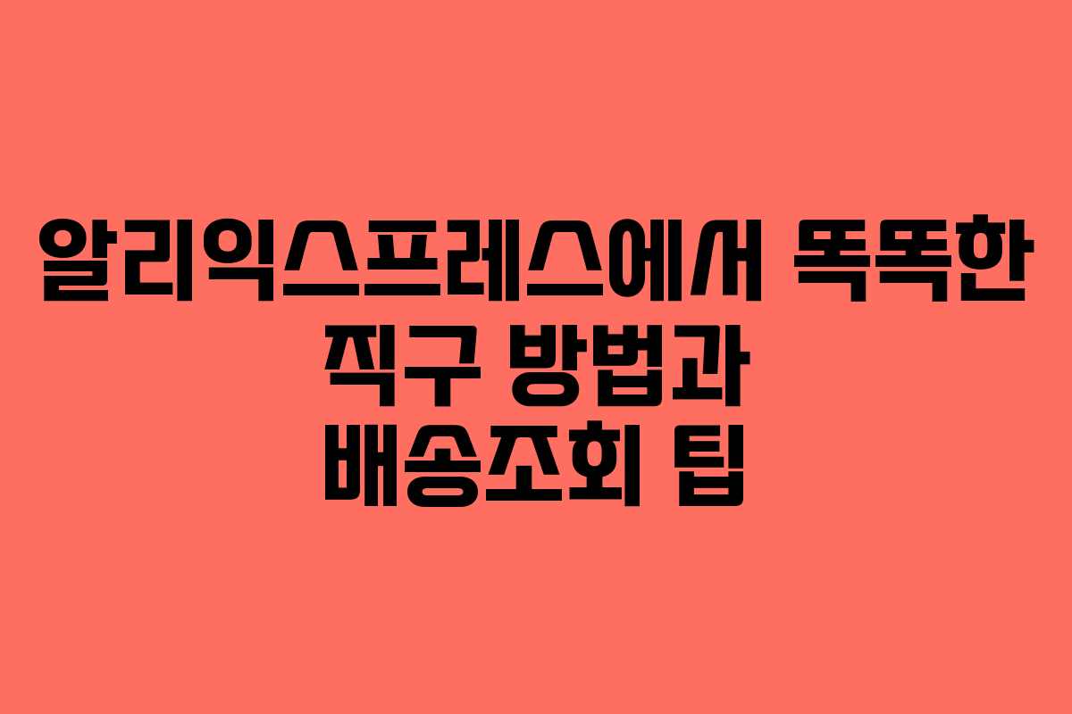 알리익스프레스에서 똑똑한 직구 방법과 배송조회 팁 알리익스프레스에서 똑똑한 직구 방법과 배송조회 팁