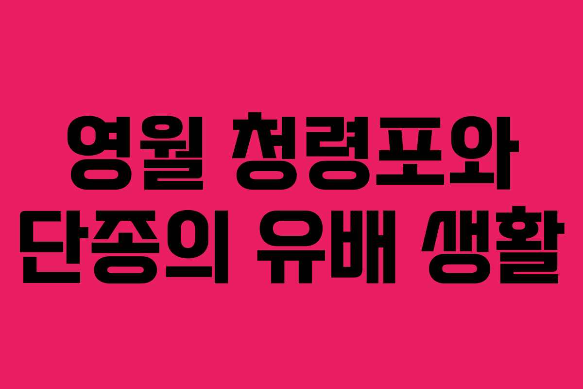 영월 청령포와 단종의 유배 생활