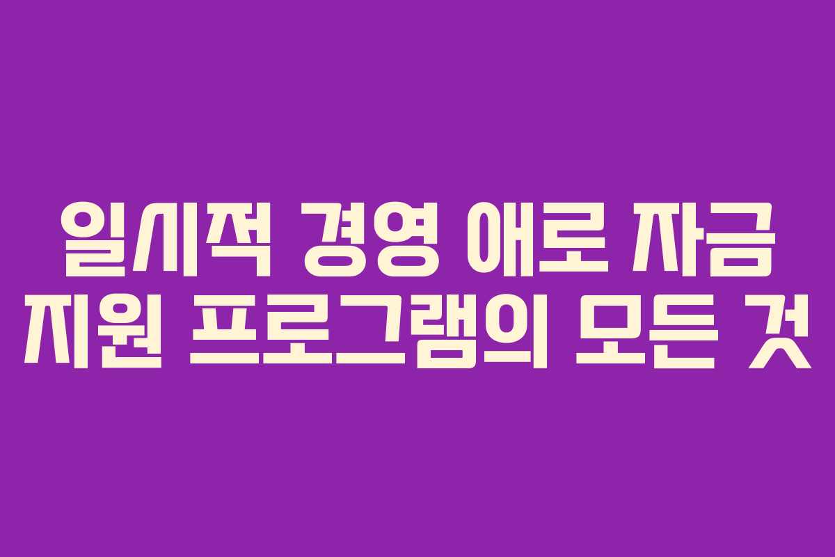 일시적 경영 애로 자금 지원 프로그램의 모든 것 일시적 경영 애로 자금 지원 프로그램의 모든 것