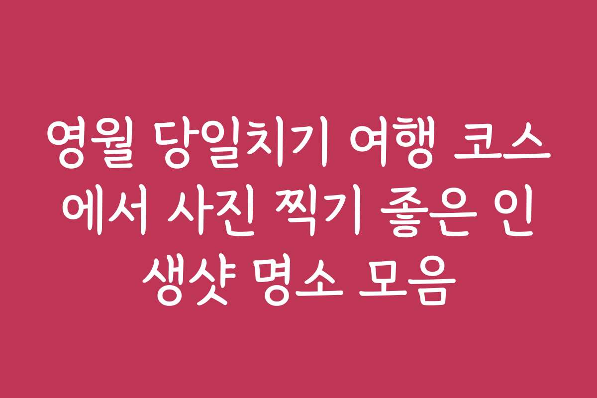 영월 당일치기 여행 코스에서 사진 찍기 좋은 인생샷 명소 모음