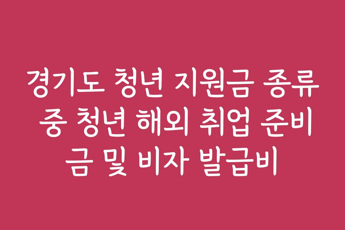 경기도 청년 지원금 종류 중 청년 해외 취업 준비금 및 비자 발급비