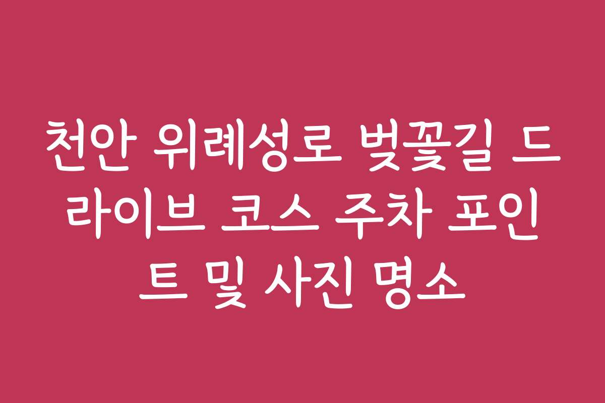천안 위례성로 벚꽃길 드라이브 코스 주차 포인트 및 사진 명소