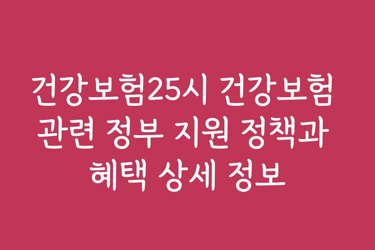 건강보험25시 건강보험 관련 정부 지원 정책과 혜택 상세 정보