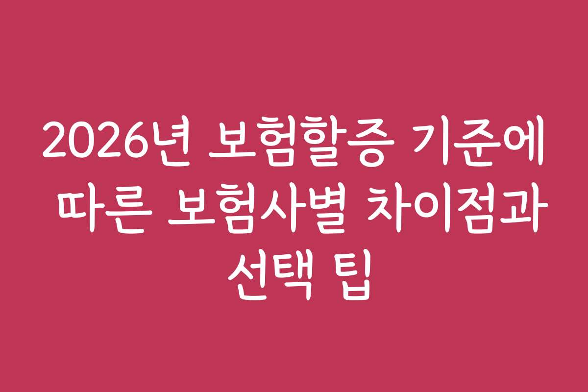 2026년 보험할증 기준에 따른 보험사별 차이점과 선택 팁