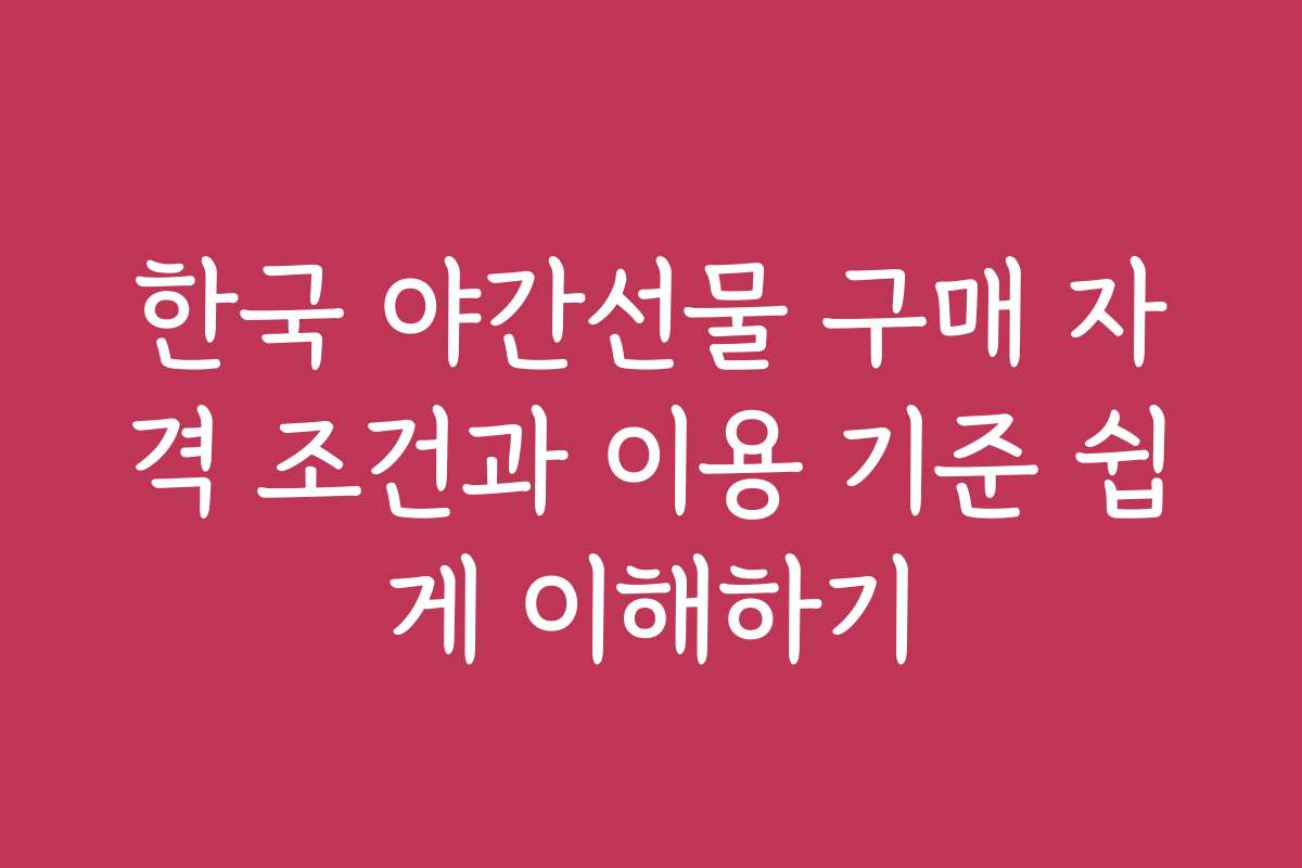 한국 야간선물 구매 자격 조건과 이용 기준 쉽게 이해하기