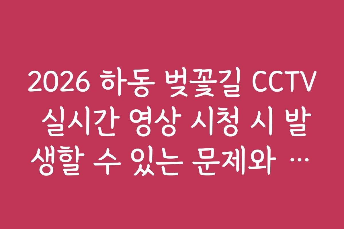 2026 하동 벚꽃길 CCTV 실시간 영상 시청 시 발생할 수 있는 문제와 해결 방법