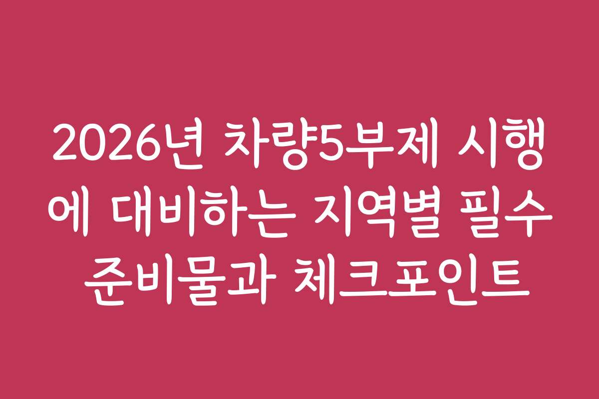 2026년 차량5부제 시행에 대비하는 지역별 필수 준비물과 체크포인트