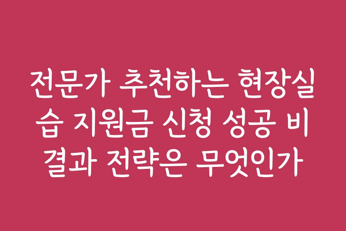 전문가 추천하는 현장실습 지원금 신청 성공 비결과 전략은 무엇인가 전문가 추천하는 현장실습 지원금 신청 성공 비결과 전략은 무엇인가