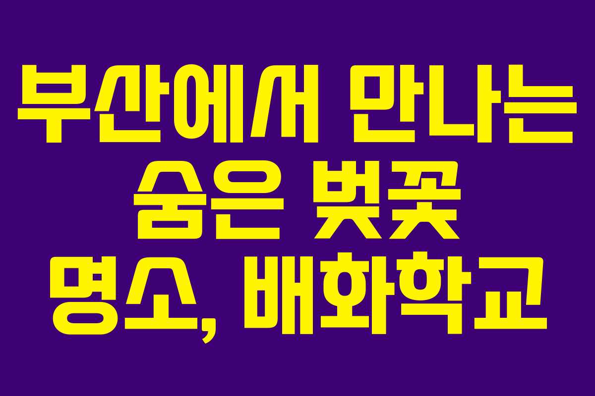 부산에서 만나는 숨은 벚꽃 명소, 배화학교