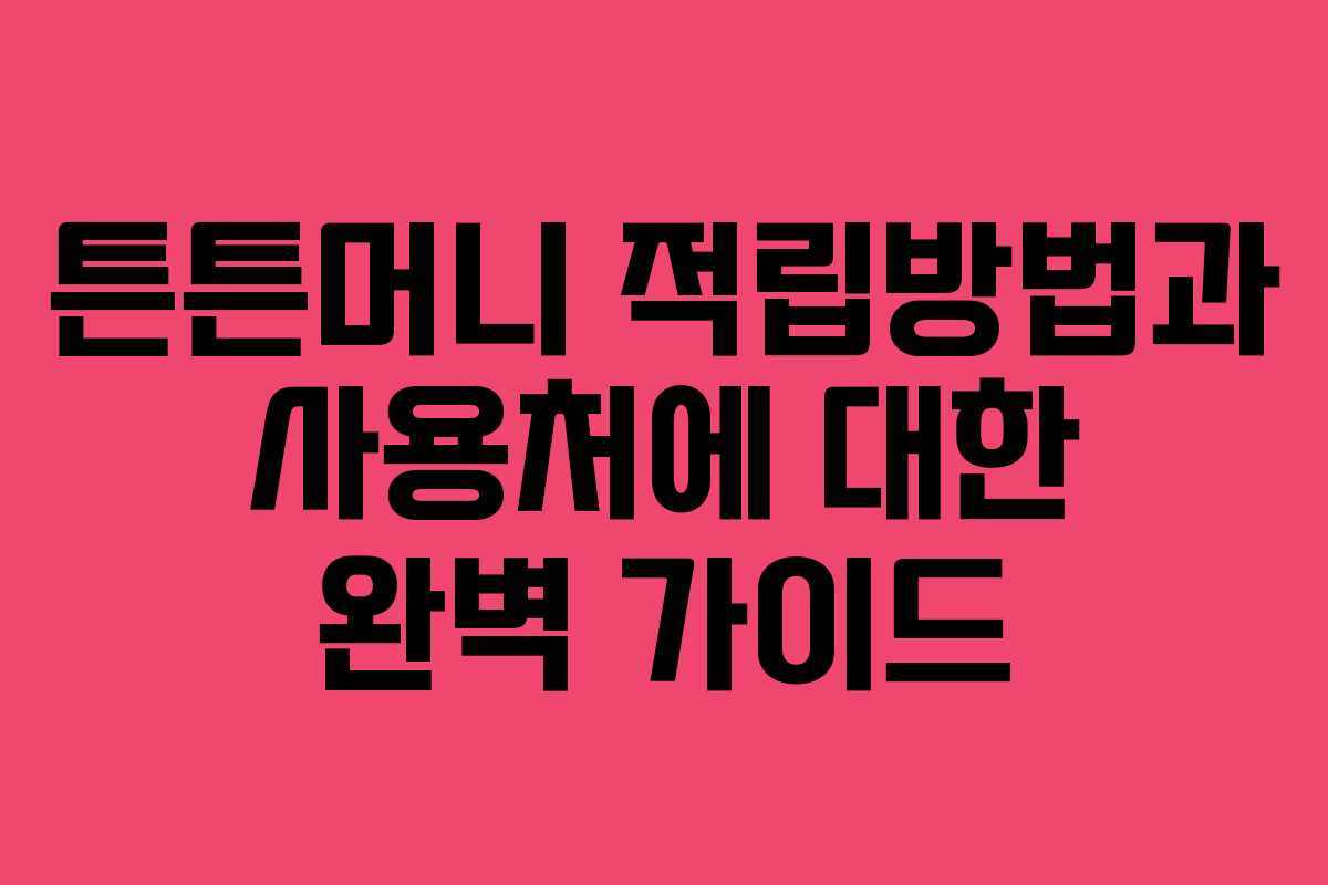 튼튼머니 적립방법과 사용처에 대한 완벽 가이드