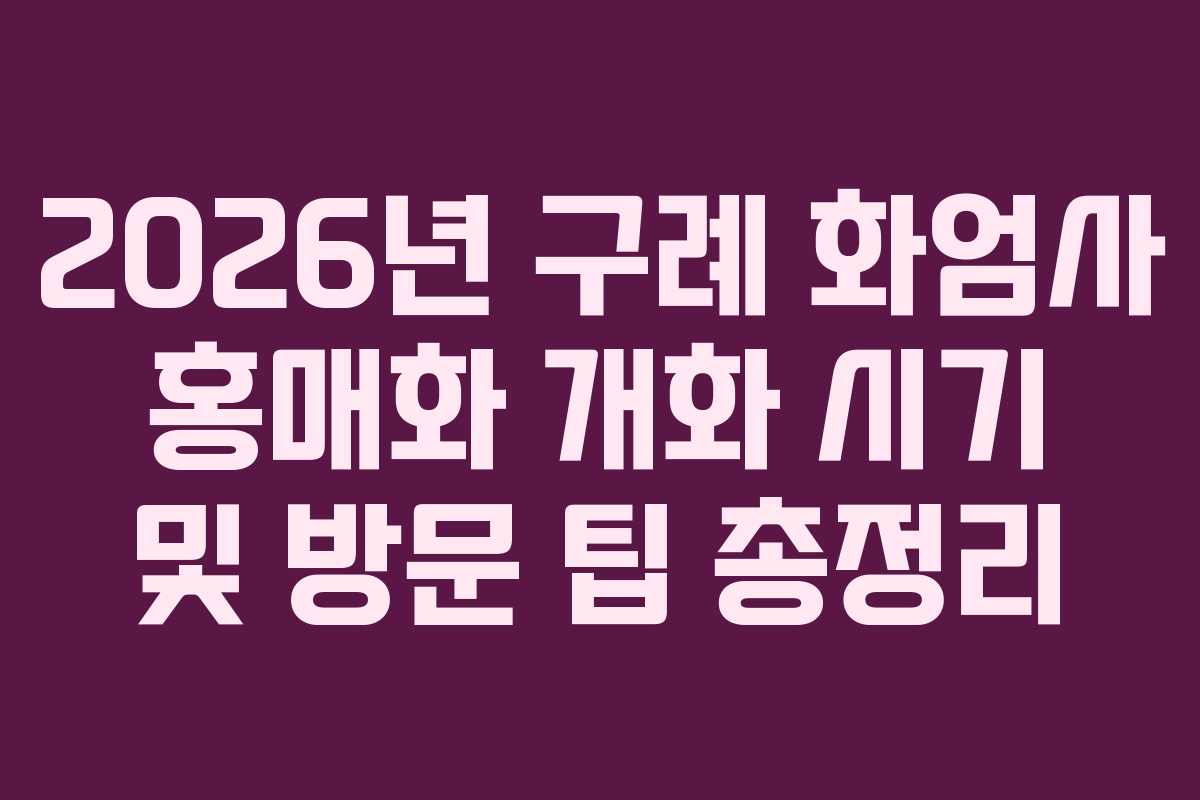 2026년 구례 화엄사 홍매화 개화 시기 및 방문 팁 총정리 2026년 구례 화엄사 홍매화 개화 시기 및 방문 팁 총정리