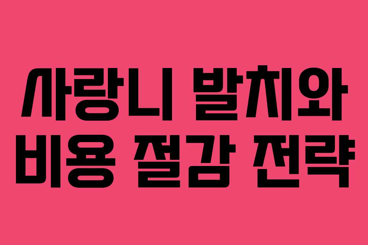 사랑니 발치와 비용 절감 전략