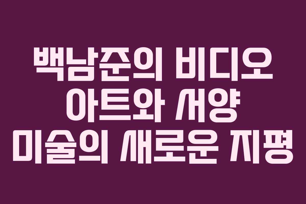 백남준의 비디오 아트와 서양 미술의 새로운 지평