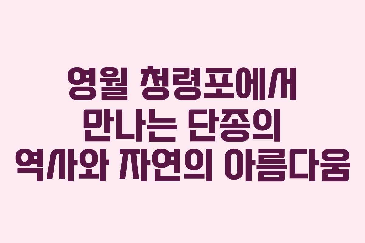 영월 청령포에서 만나는 단종의 역사와 자연의 아름다움