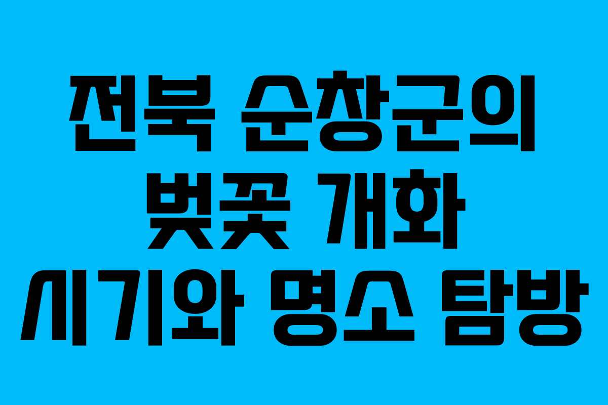 전북 순창군의 벚꽃 개화 시기와 명소 탐방