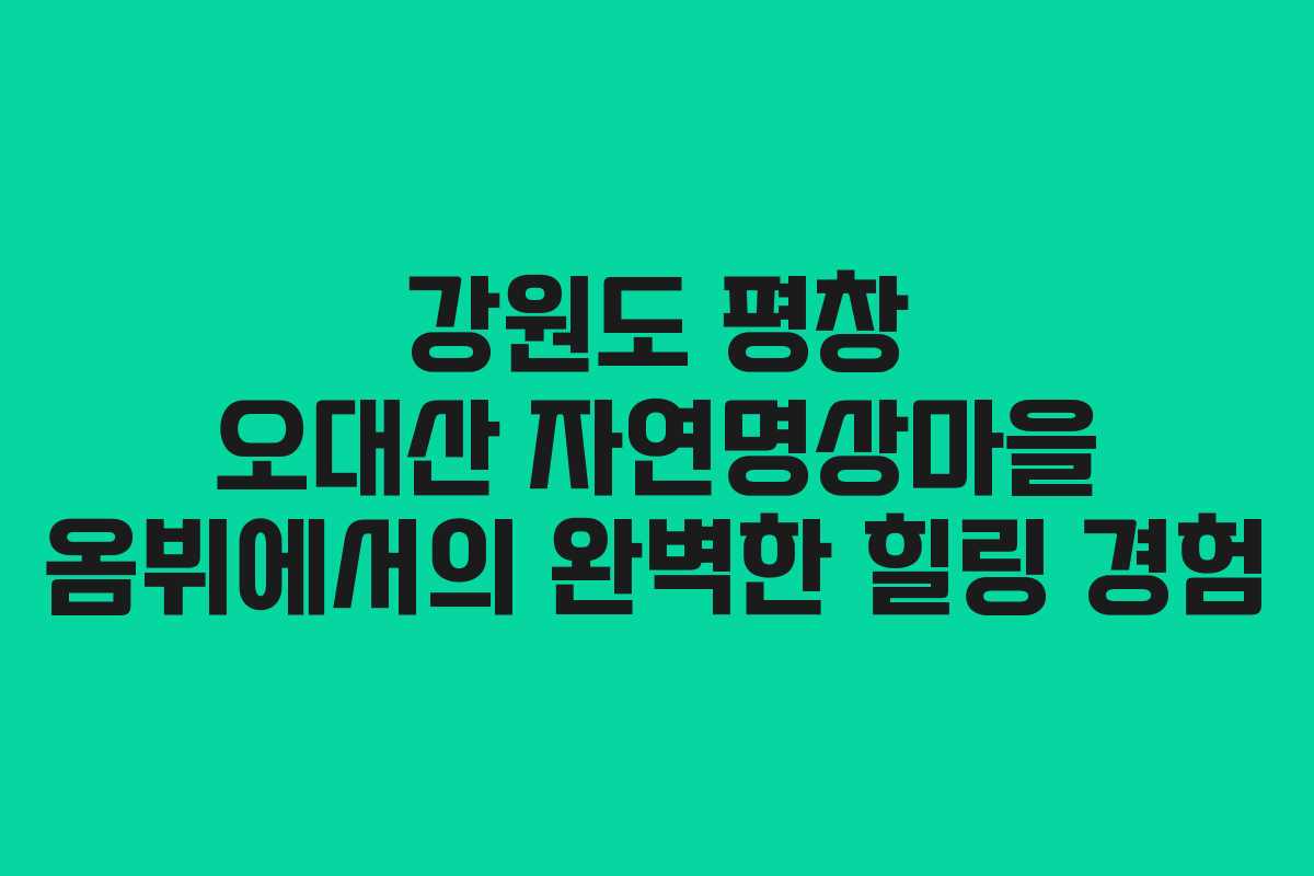 강원도 평창 오대산 자연명상마을 옴뷔에서의 완벽한 힐링 경험