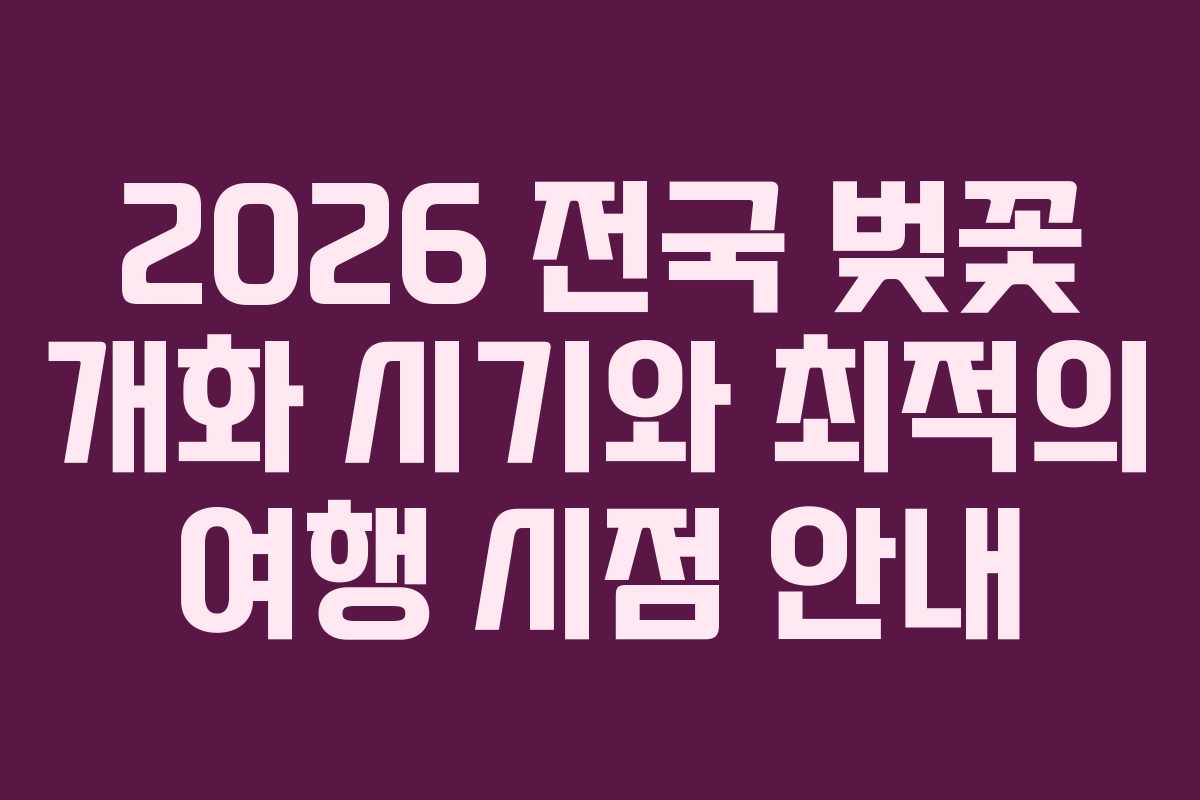 2026 전국 벚꽃 개화 시기와 최적의 여행 시점 안내