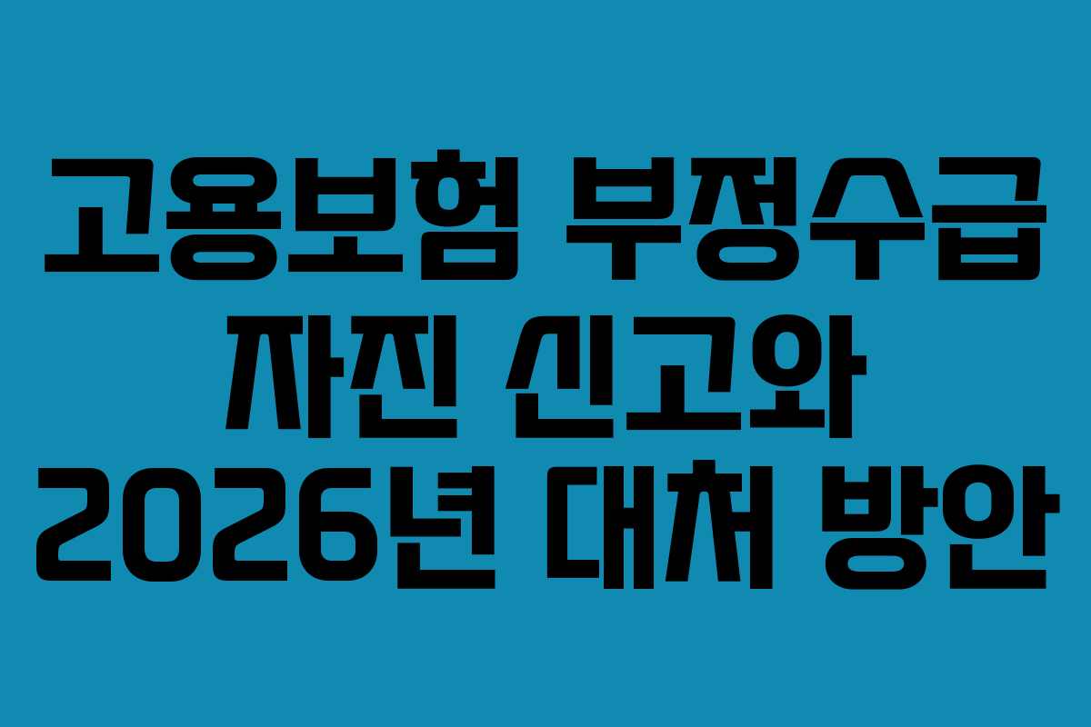 고용보험 부정수급 자진 신고와 2026년 대처 방안
