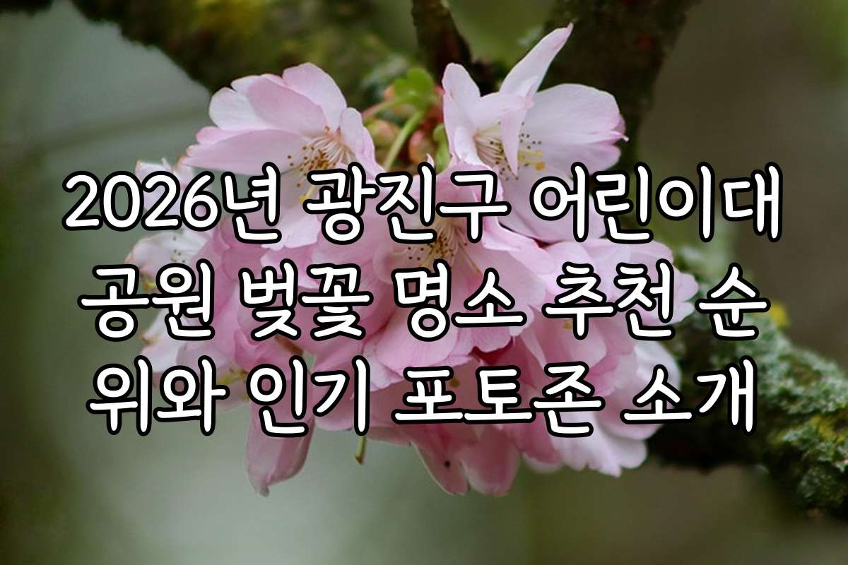 2026년 광진구 어린이대공원 벚꽃 명소 추천 순위와 인기 포토존 소개
