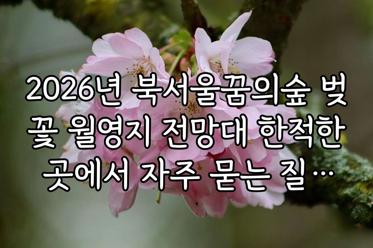 2026년 북서울꿈의숲 벚꽃 월영지 전망대 한적한 곳에서 자주 묻는 질문과 답변 모음