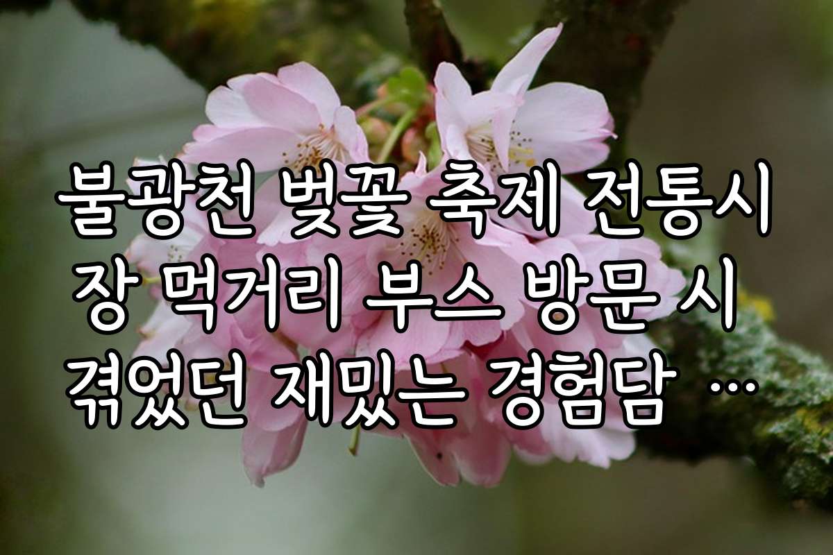불광천 벚꽃 축제 전통시장 먹거리 부스 방문 시 겪었던 재밌는 경험담 모음