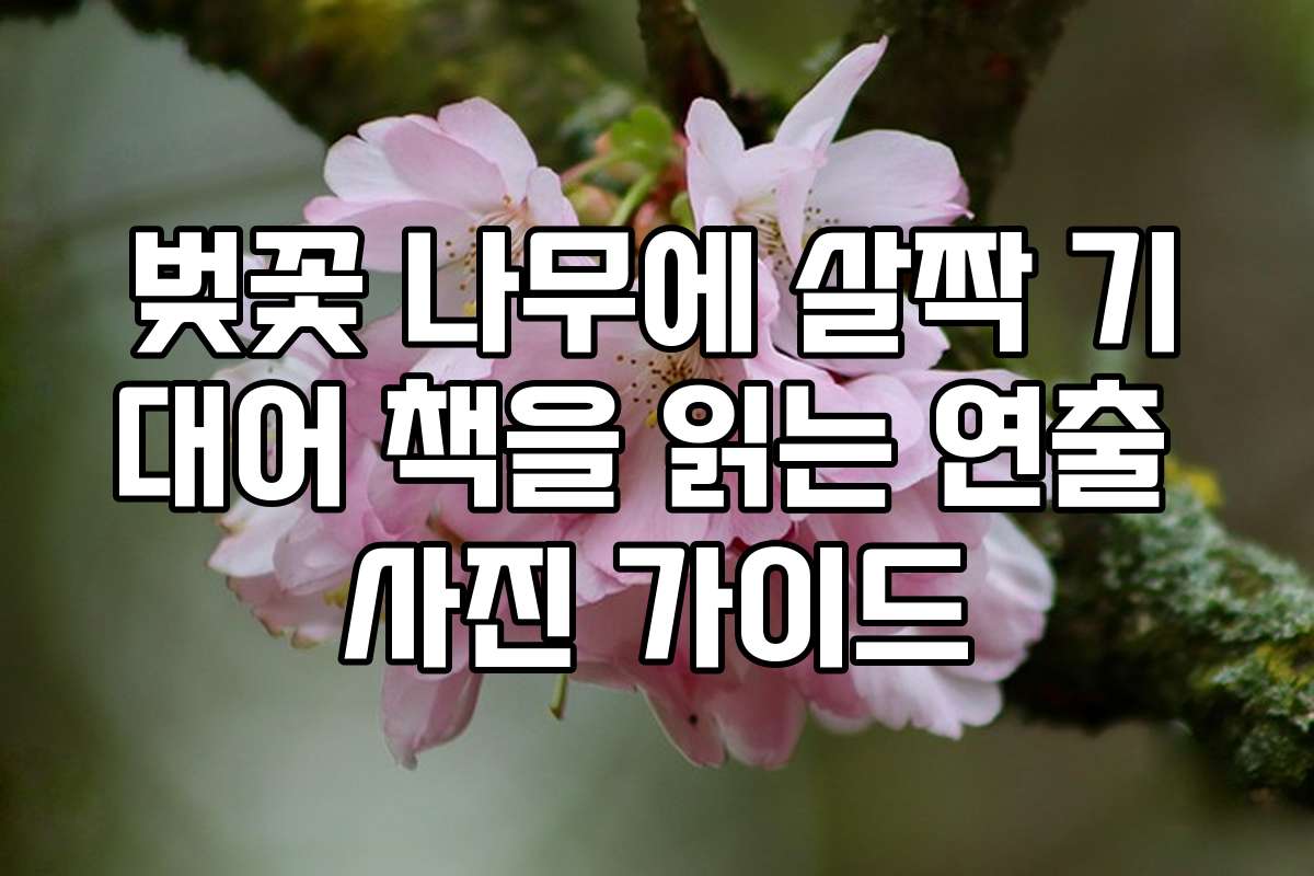 벚꽃 나무에 살짝 기대어 책을 읽는 연출 사진 가이드