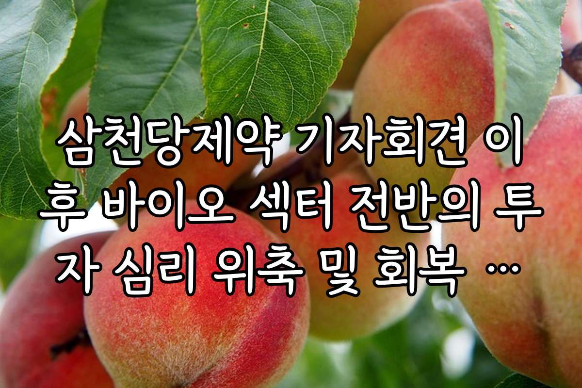 삼천당제약 기자회견 이후 바이오 섹터 전반의 투자 심리 위축 및 회복 시점 예측