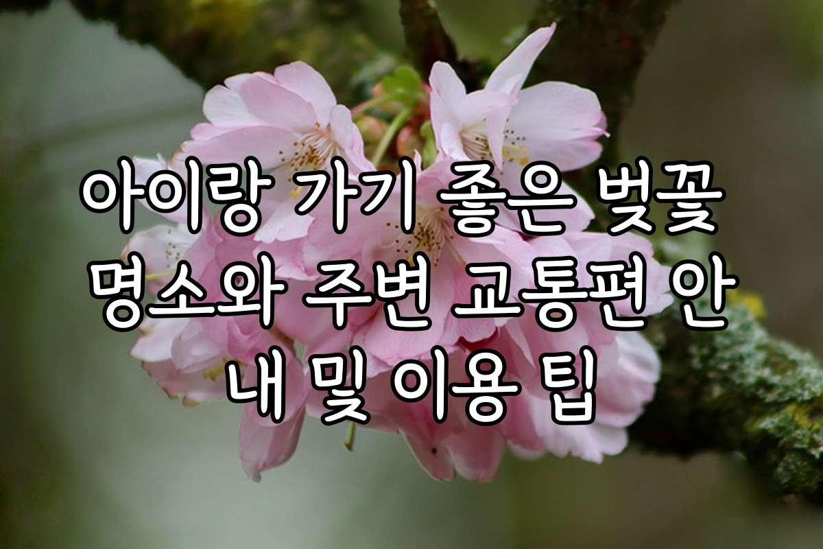 아이랑 가기 좋은 벚꽃 명소와 주변 교통편 안내 및 이용 팁 아이랑 가기 좋은 벚꽃 명소와 주변 교통편 안내 및 이용 팁