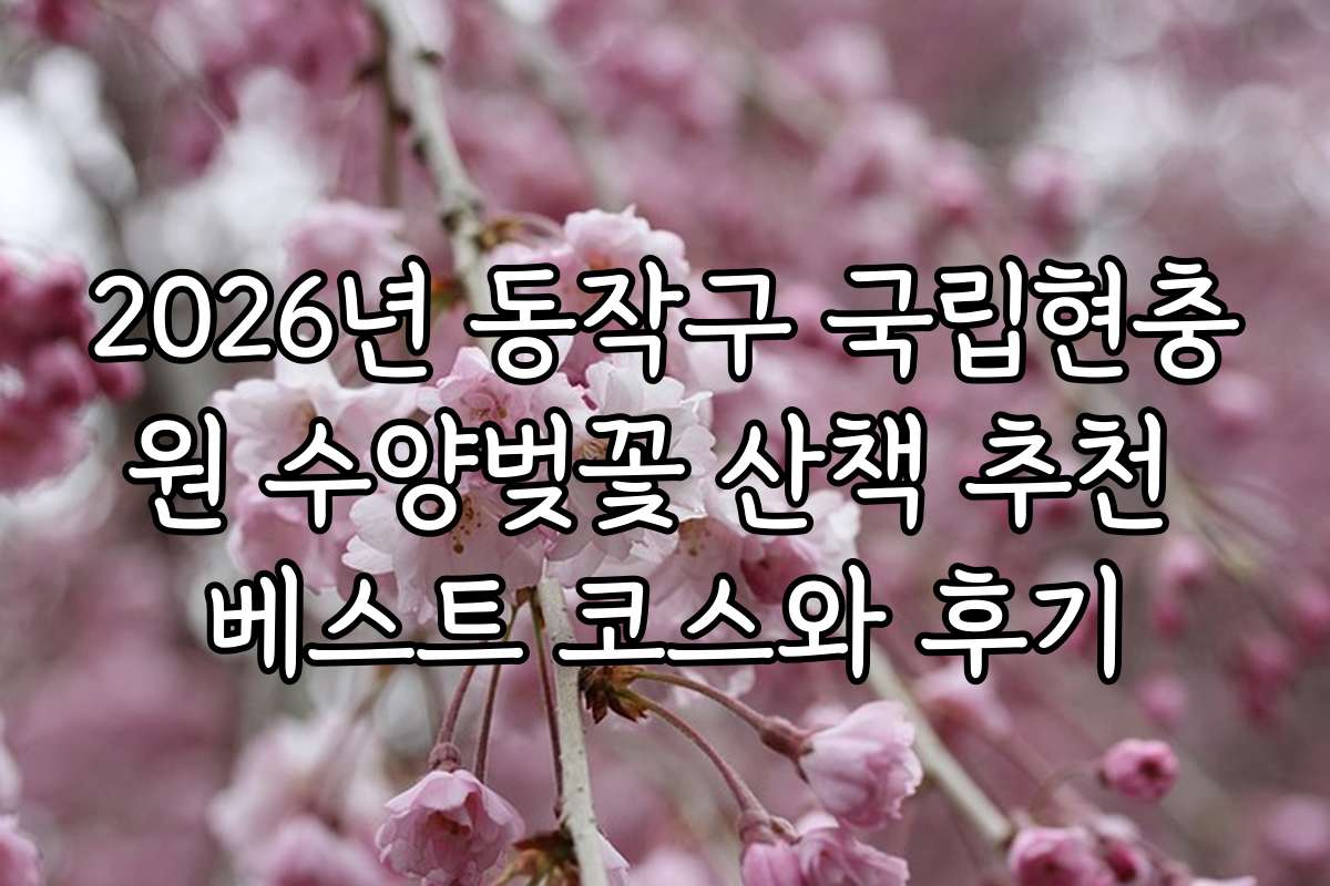 2026년 동작구 국립현충원 수양벚꽃 산책 추천 베스트 코스와 후기