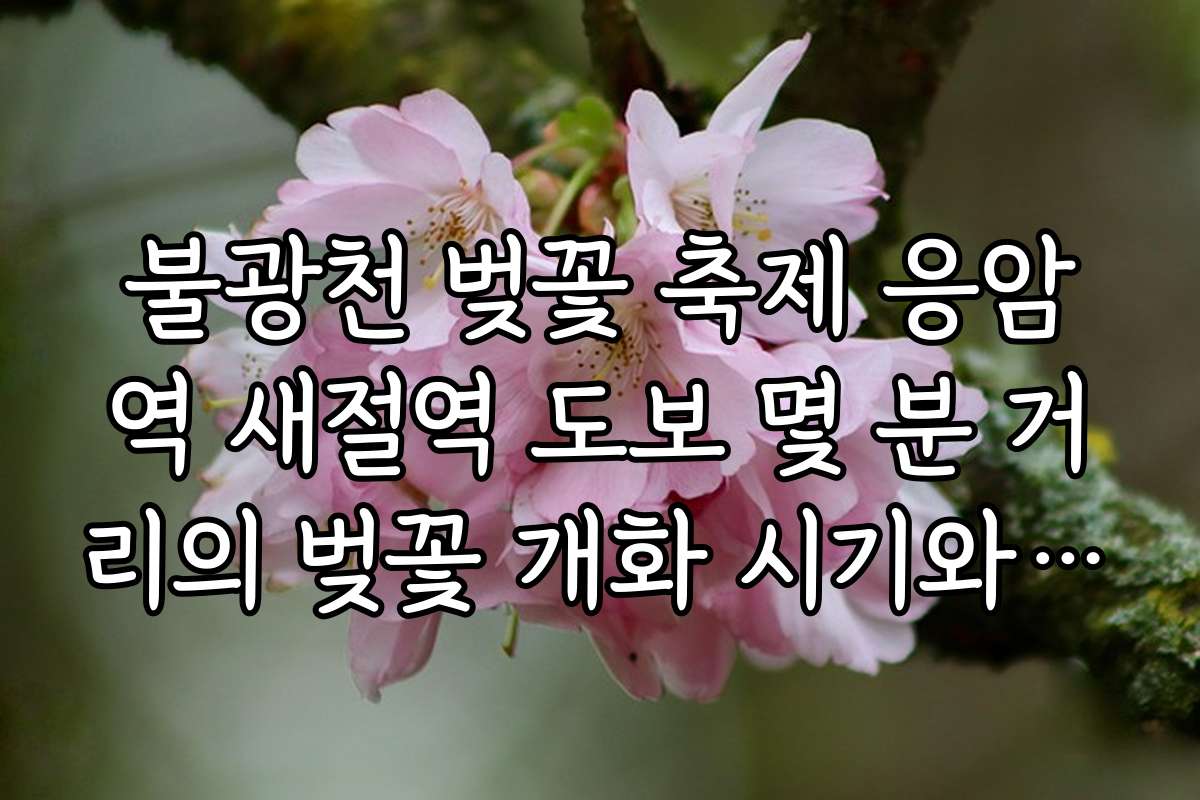 불광천 벚꽃 축제 응암역 새절역 도보 몇 분 거리의 벚꽃 개화 시기와 전망