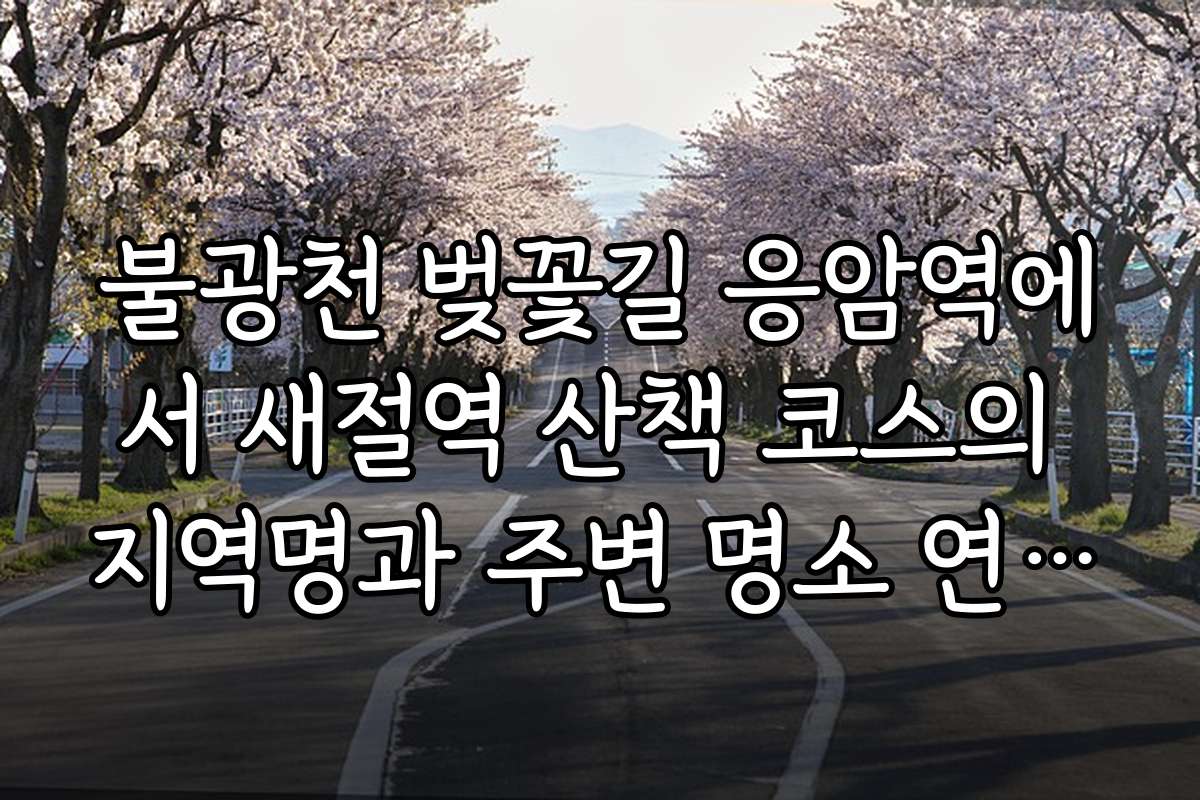 불광천 벚꽃길 응암역에서 새절역 산책 코스의 지역명과 주변 명소 연계 추천