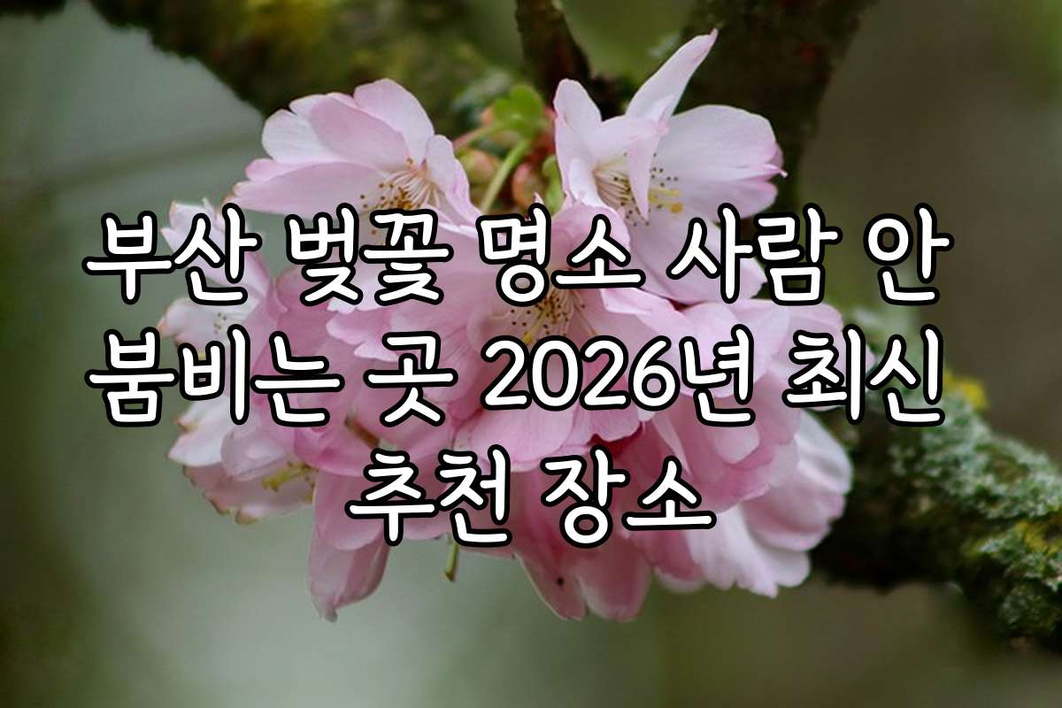 부산 벚꽃 명소 사람 안 붐비는 곳 2026년 최신 추천 장소