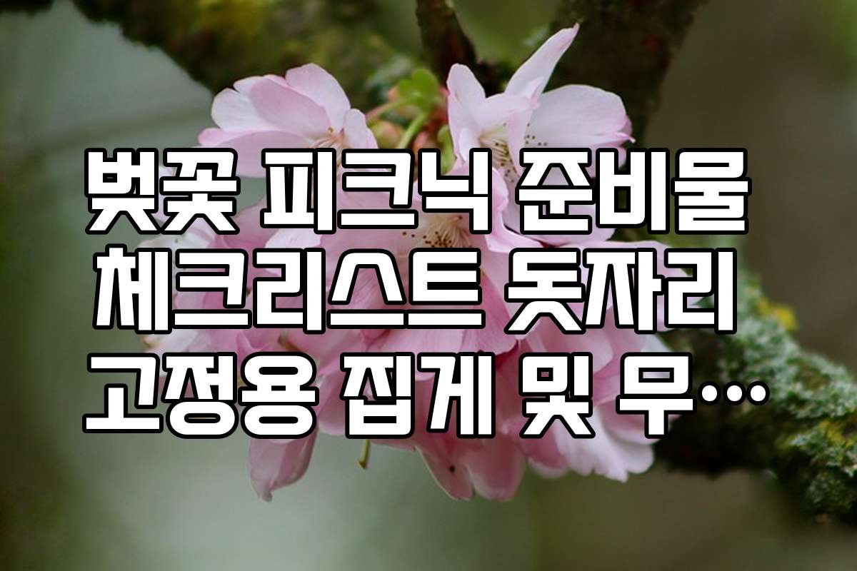 벚꽃 피크닉 준비물 체크리스트 돗자리 고정용 집게 및 무거운 짐 벚꽃 피크닉 준비물 체크리스트 돗자리 고정용 집게 및 무거운 짐