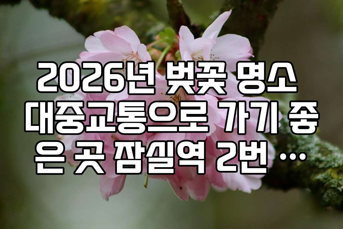 2026년 벚꽃 명소 대중교통으로 가기 좋은 곳 잠실역 2번 출구 정보