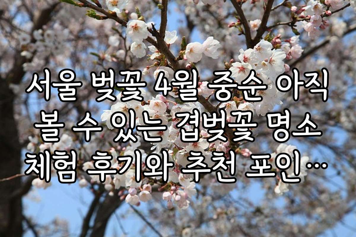 서울 벚꽃 4월 중순 아직 볼 수 있는 겹벚꽃 명소 체험 후기와 추천 포인트 한눈에 보기