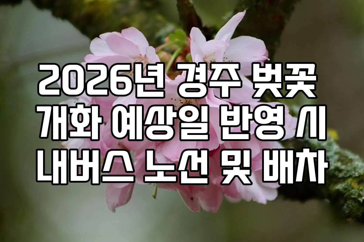 2026년 경주 벚꽃 개화 예상일 반영 시내버스 노선 및 배차
