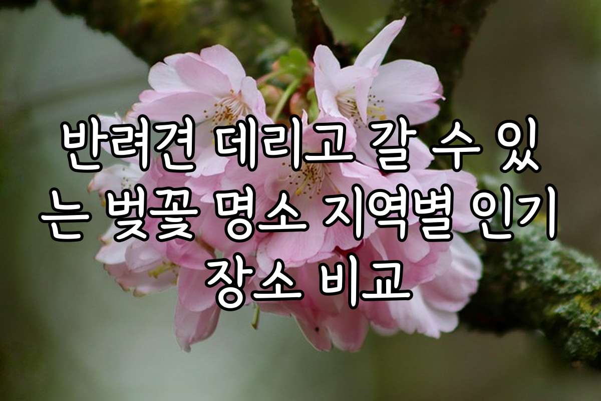 반려견 데리고 갈 수 있는 벚꽃 명소 지역별 인기 장소 비교