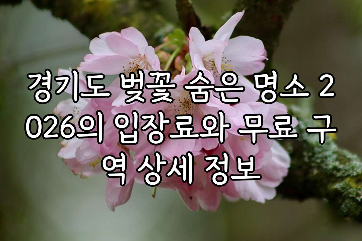 경기도 벚꽃 숨은 명소 2026의 입장료와 무료 구역 상세 정보