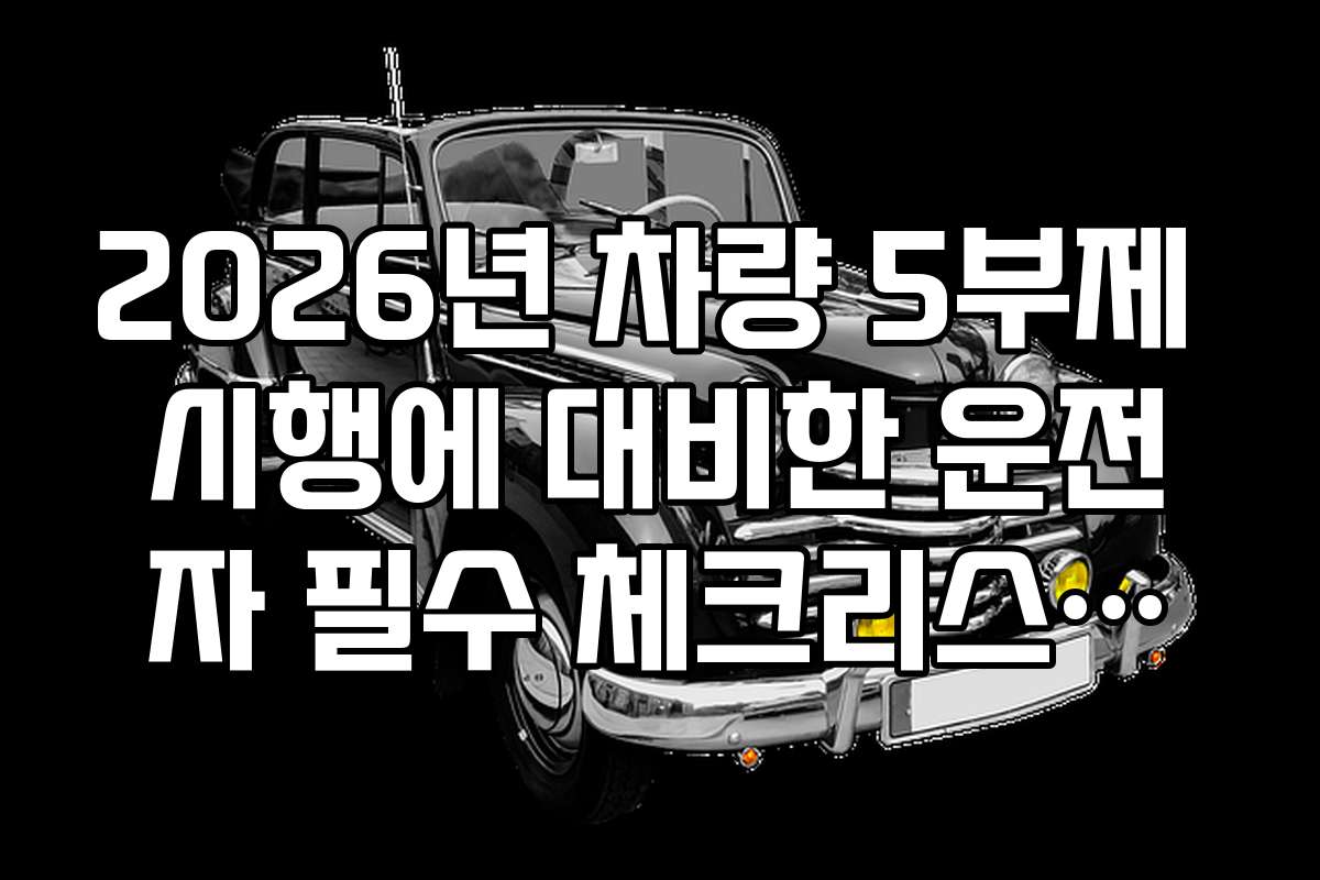 2026년 차량 5부제 시행에 대비한 운전자 필수 체크리스트와 준비물