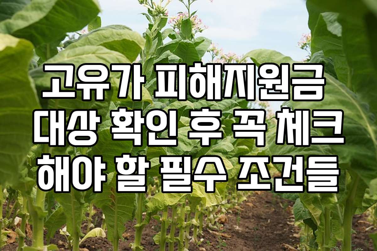 고유가 피해지원금 대상 확인 후 꼭 체크해야 할 필수 조건들