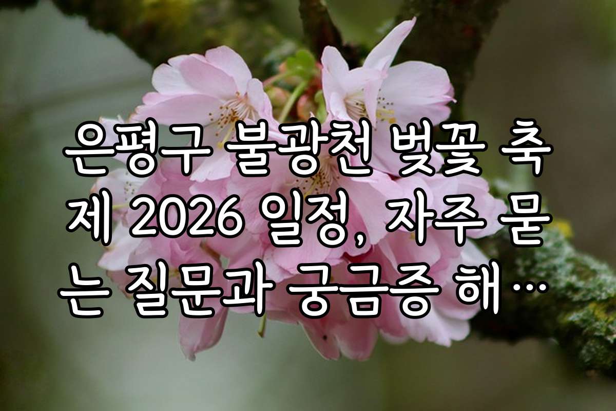은평구 불광천 벚꽃 축제 2026 일정, 자주 묻는 질문과 궁금증 해소하기