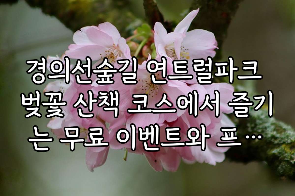 경의선숲길 연트럴파크 벚꽃 산책 코스에서 즐기는 무료 이벤트와 프로모션 소식