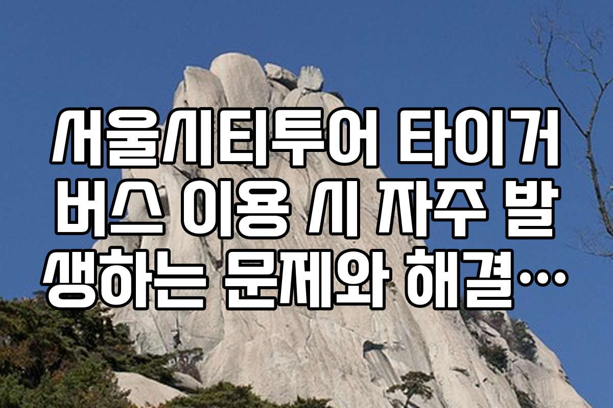 서울시티투어 타이거버스 이용 시 자주 발생하는 문제와 해결 방안