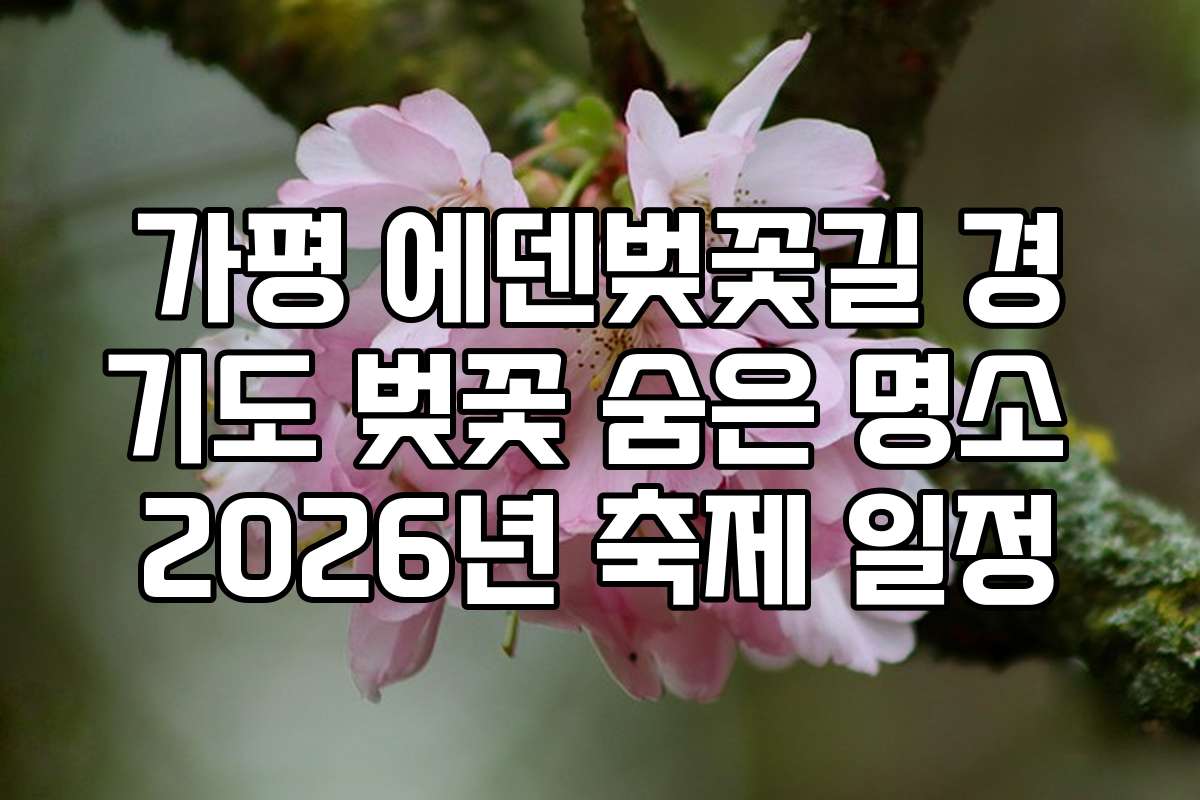 가평 에덴벚꽃길 경기도 벚꽃 숨은 명소 2026년 축제 일정