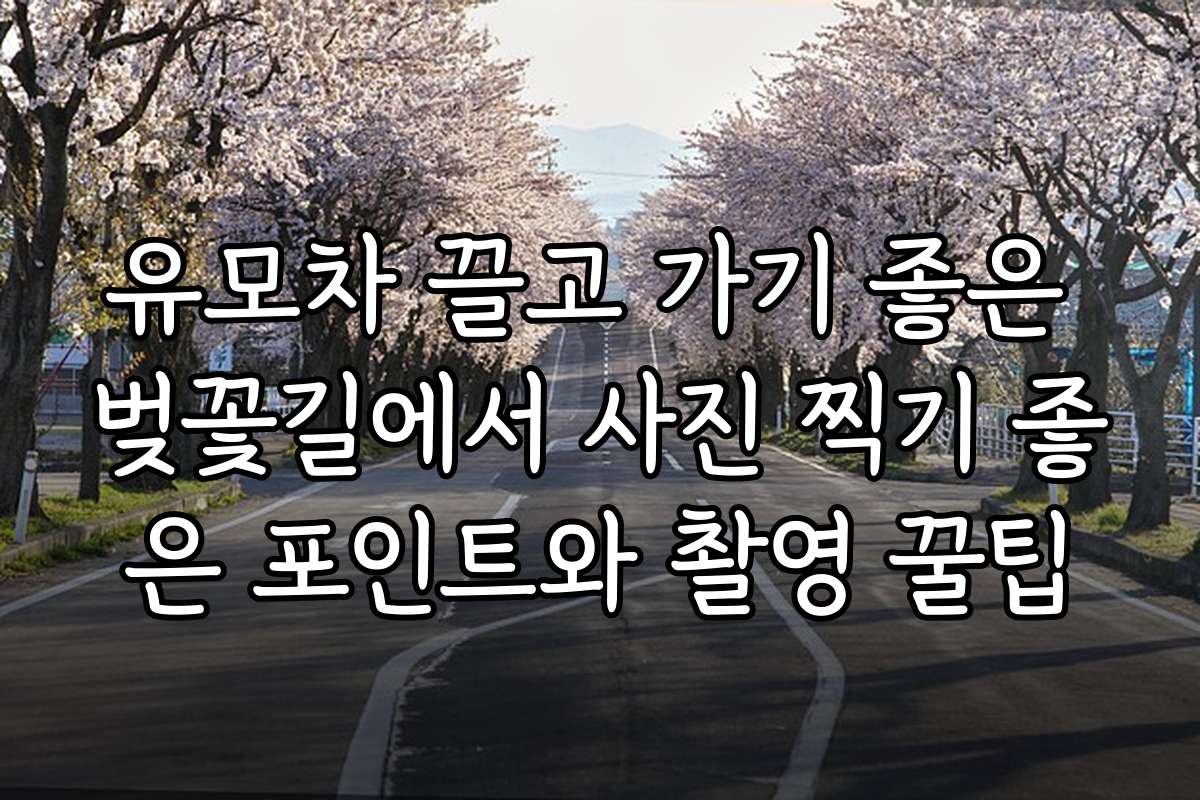 유모차 끌고 가기 좋은 벚꽃길에서 사진 찍기 좋은 포인트와 촬영 꿀팁