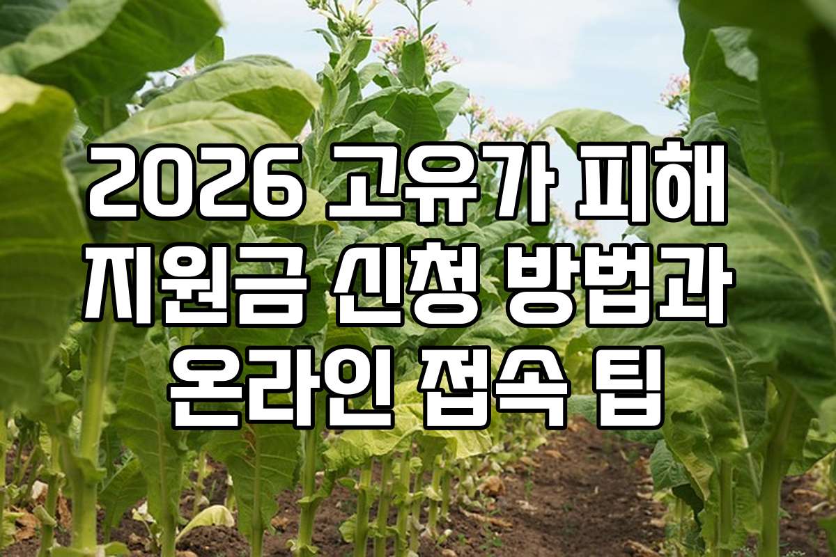 2026 고유가 피해 지원금 신청 방법과 온라인 접속 팁