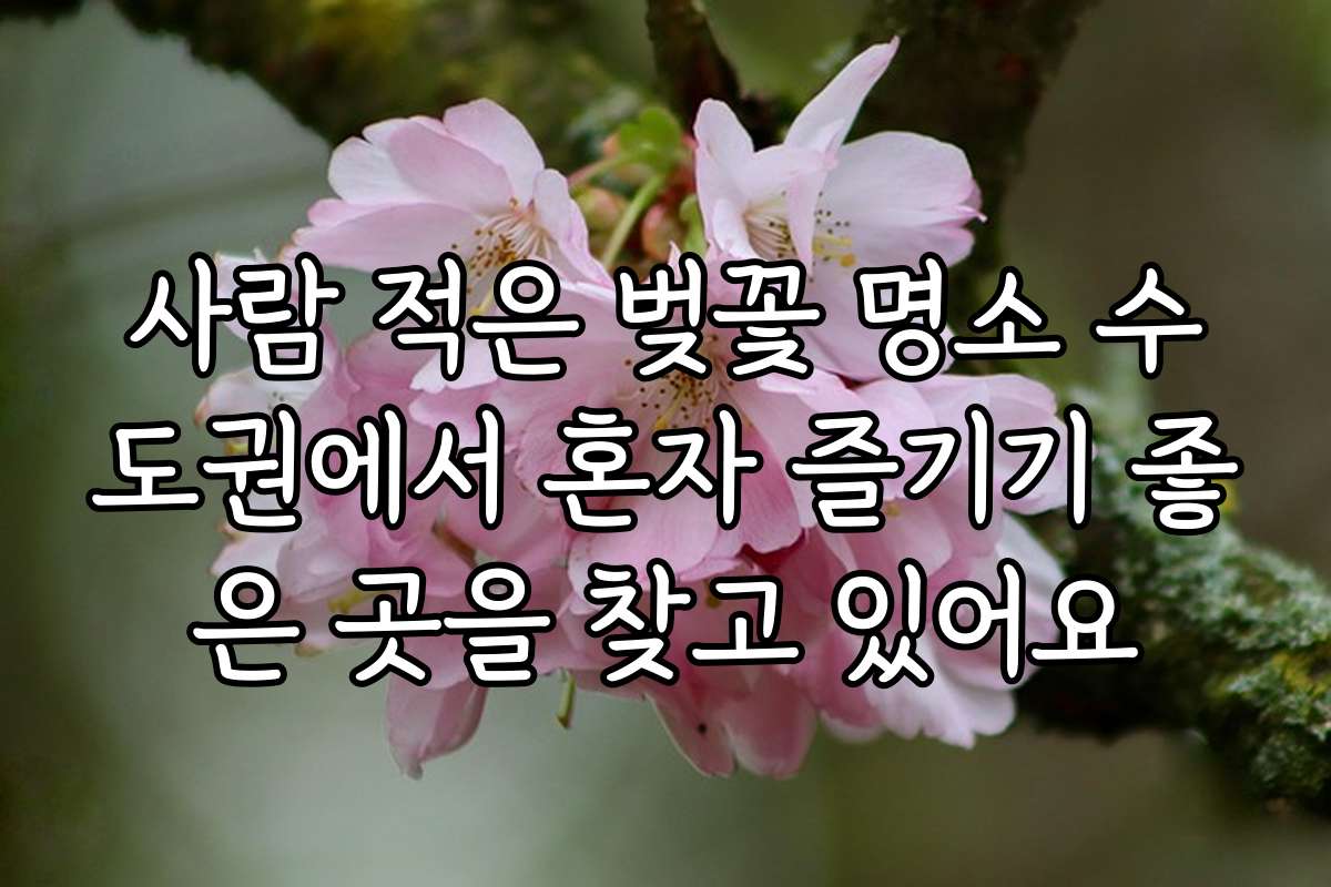 사람 적은 벚꽃 명소 수도권에서 혼자 즐기기 좋은 곳을 찾고 있어요