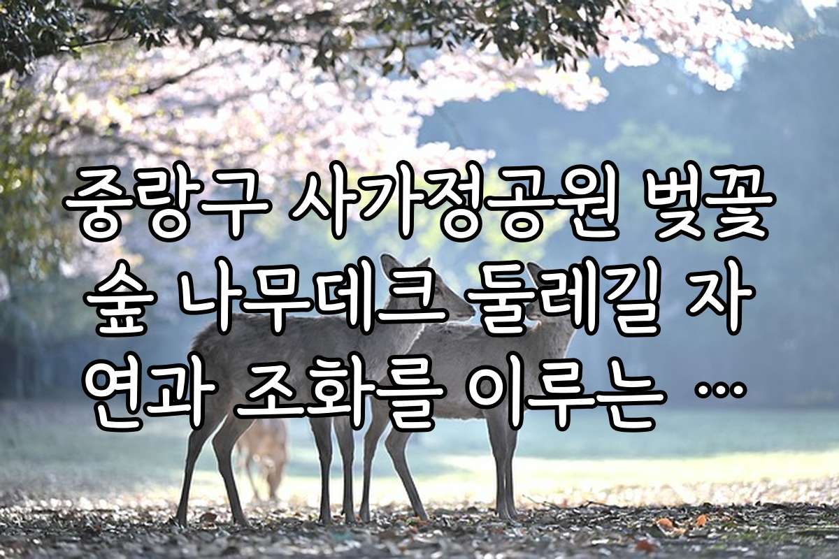 중랑구 사가정공원 벚꽃숲 나무데크 둘레길 자연과 조화를 이루는 포인트 안내