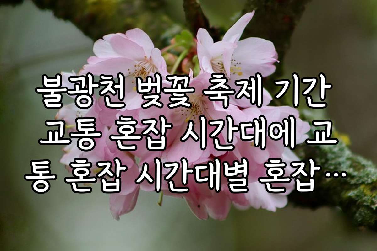 불광천 벚꽃 축제 기간 교통 혼잡 시간대에 교통 혼잡 시간대별 혼잡 구간 위치와 우회 방법 안내 불광천 벚꽃 축제 기간 교통 혼잡 시간대에 교통 혼잡 시간대별 혼잡 구간 위치와 우회 방법 안내